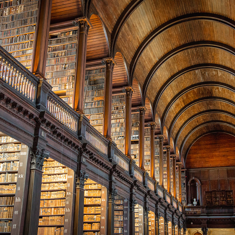 Books in the Long Room Library, Trinity College Dublin Ireland 1000 Jigsaw Puzzle 3D Modell