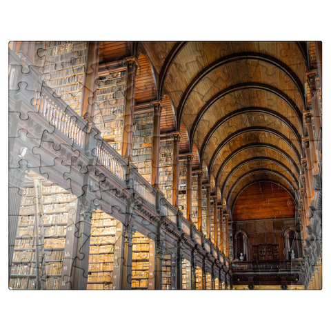 puzzleplate Books in the Long Room Library, Trinity College Dublin Ireland 100 Jigsaw Puzzle