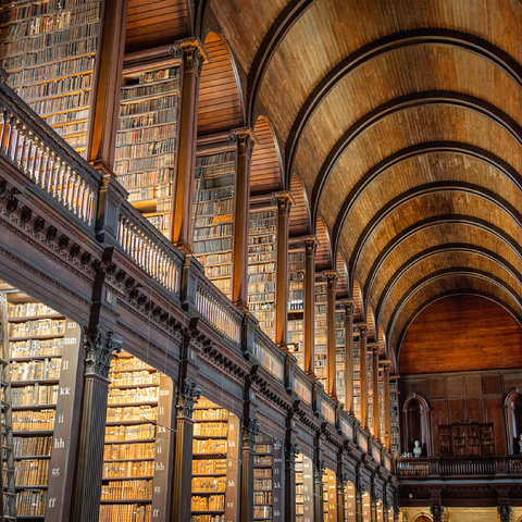 Books in the Long Room Library, Trinity College Dublin Ireland 100 Jigsaw Puzzle 3D Modell