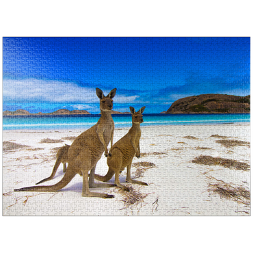 puzzleplate Esperence Lucky Bay Western Australia Kangaroo Beach 1000 Jigsaw Puzzle