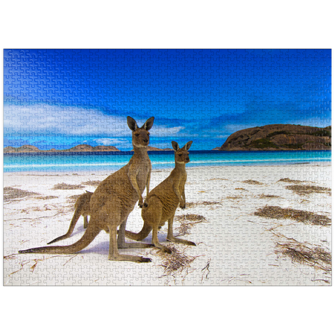 puzzleplate Esperence Lucky Bay Western Australia Kangaroo Beach 1000 Jigsaw Puzzle