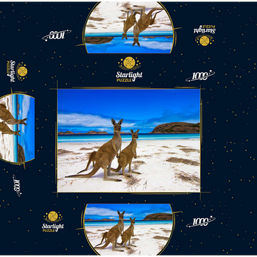 Esperence Lucky Bay Western Australia Kangaroo Beach 1000 Jigsaw Puzzle box 3D Modell