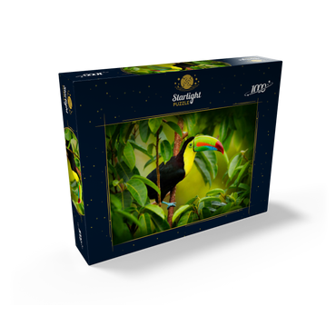 Costa Rica wildlife. toucan sitting on the branch in the forest, green vegetation. nature vacation in Central America. Keel-billed toucan, Ramphastos sulfuratus. wildlife from Costa Rica. 1000 Jigsaw Puzzle box view1