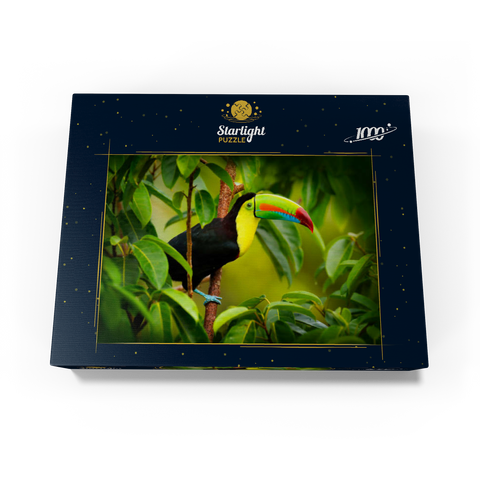 Costa Rica wildlife. toucan sitting on the branch in the forest, green vegetation. nature vacation in Central America. Keel-billed toucan, Ramphastos sulfuratus. wildlife from Costa Rica. 1000 Jigsaw Puzzle box view1