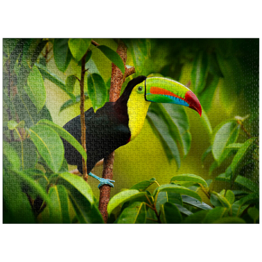 puzzleplate Costa Rica wildlife. toucan sitting on the branch in the forest, green vegetation. nature vacation in Central America. Keel-billed toucan, Ramphastos sulfuratus. wildlife from Costa Rica. 1000 Jigsaw Puzzle