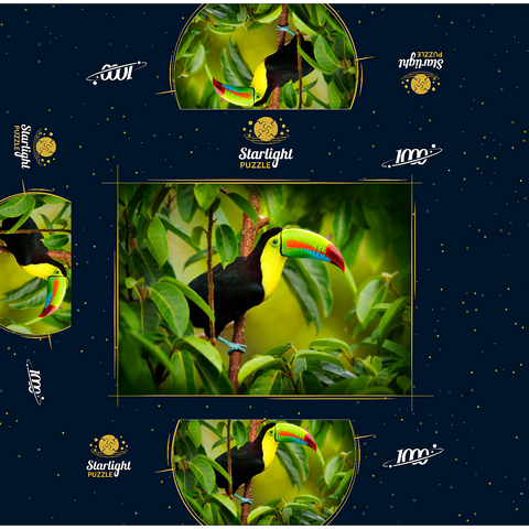 Costa Rica wildlife. toucan sitting on the branch in the forest, green vegetation. nature vacation in Central America. Keel-billed toucan, Ramphastos sulfuratus. wildlife from Costa Rica. 1000 Jigsaw Puzzle box 3D Modell