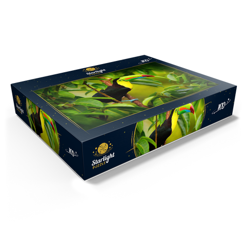 Costa Rica wildlife. toucan sitting on the branch in the forest, green vegetation. nature vacation in Central America. Keel-billed toucan, Ramphastos sulfuratus. wildlife from Costa Rica. 100 Jigsaw Puzzle box view1
