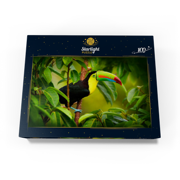 Costa Rica wildlife. toucan sitting on the branch in the forest, green vegetation. nature vacation in Central America. Keel-billed toucan, Ramphastos sulfuratus. wildlife from Costa Rica. 100 Jigsaw Puzzle box view1