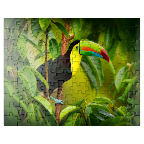 puzzleplate Costa Rica wildlife. toucan sitting on the branch in the forest, green vegetation. nature vacation in Central America. Keel-billed toucan, Ramphastos sulfuratus. wildlife from Costa Rica. 100 Jigsaw Puzzle