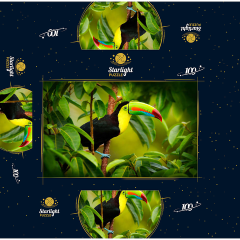 Costa Rica wildlife. toucan sitting on the branch in the forest, green vegetation. nature vacation in Central America. Keel-billed toucan, Ramphastos sulfuratus. wildlife from Costa Rica. 100 Jigsaw Puzzle box 3D Modell