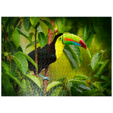 puzzleplate Costa Rica wildlife. toucan sitting on the branch in the forest, green vegetation. nature vacation in Central America. Keel-billed toucan, Ramphastos sulfuratus. wildlife from Costa Rica. 500 Jigsaw Puzzle