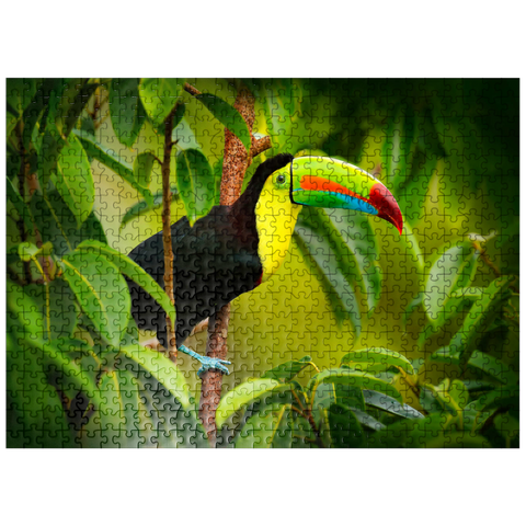 puzzleplate Costa Rica wildlife. toucan sitting on the branch in the forest, green vegetation. nature vacation in Central America. Keel-billed toucan, Ramphastos sulfuratus. wildlife from Costa Rica. 500 Jigsaw Puzzle