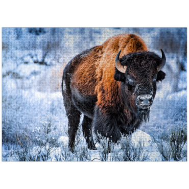 puzzleplate American bison crouching in snow in winter, Yellowstone National Park 1000 Jigsaw Puzzle