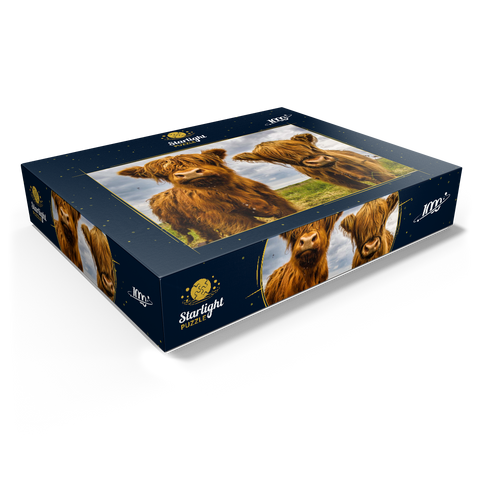 Two highland cows 1000 Jigsaw Puzzle box view1
