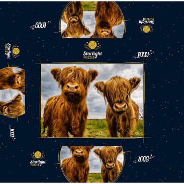 Two highland cows 1000 Jigsaw Puzzle box 3D Modell