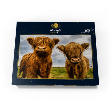 Two highland cows 100 Jigsaw Puzzle box view1