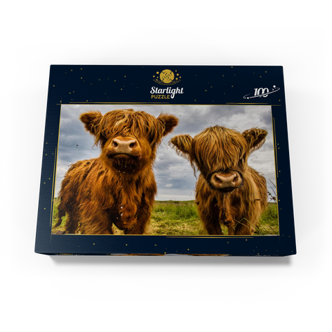Two highland cows 100 Jigsaw Puzzle box view1