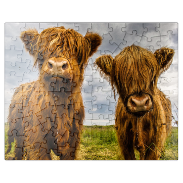 puzzleplate Two highland cows 100 Jigsaw Puzzle