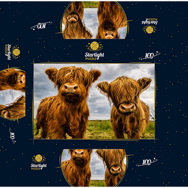 Two highland cows 100 Jigsaw Puzzle box 3D Modell