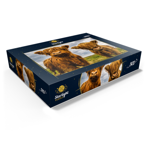 Two highland cows 500 Jigsaw Puzzle box view1