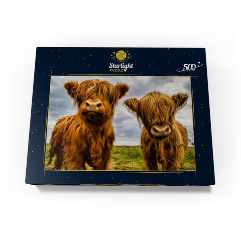 Two highland cows 500 Jigsaw Puzzle box view1