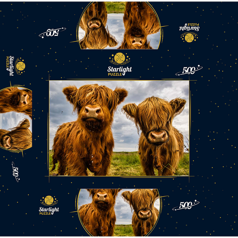 Two highland cows 500 Jigsaw Puzzle box 3D Modell