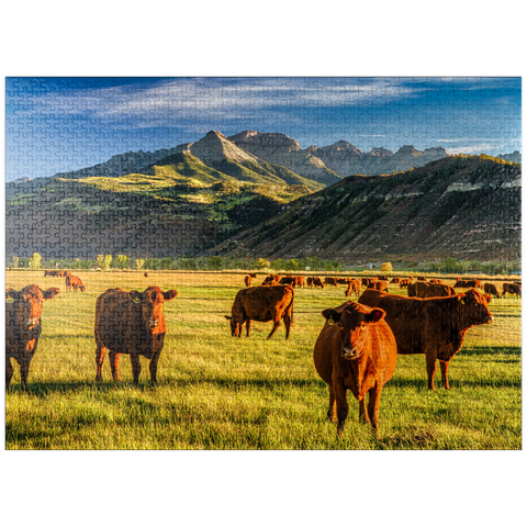 puzzleplate Fall on a Colorado cattle ranch near Ridgway - County Road 12. 1000 Jigsaw Puzzle