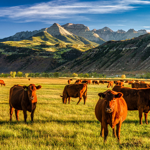 Fall on a Colorado cattle ranch near Ridgway - County Road 12. 1000 Jigsaw Puzzle 3D Modell