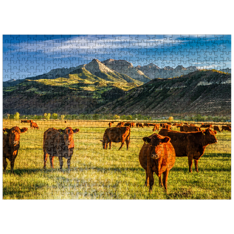 puzzleplate Fall on a Colorado cattle ranch near Ridgway - County Road 12. 500 Jigsaw Puzzle