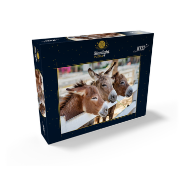 Three horses or donkeys on the farm. head of coupe brown horse or donkey in the stable. horse or donkey lover and third party. triangle concept for pets. love the concept of a third party. a sad concept. 1000 Jigsaw Puzzle box view1