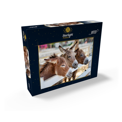 Three horses or donkeys on the farm. head of coupe brown horse or donkey in the stable. horse or donkey lover and third party. triangle concept for pets. love the concept of a third party. a sad concept. 1000 Jigsaw Puzzle box view1