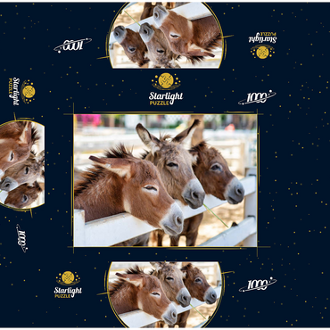 Three horses or donkeys on the farm. head of coupe brown horse or donkey in the stable. horse or donkey lover and third party. triangle concept for pets. love the concept of a third party. a sad concept. 1000 Jigsaw Puzzle box 3D Modell