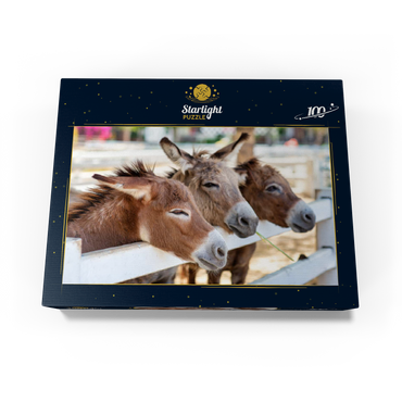 Three horses or donkeys on the farm. head of coupe brown horse or donkey in the stable. horse or donkey lover and third party. triangle concept for pets. love the concept of a third party. a sad concept. 100 Jigsaw Puzzle box view1