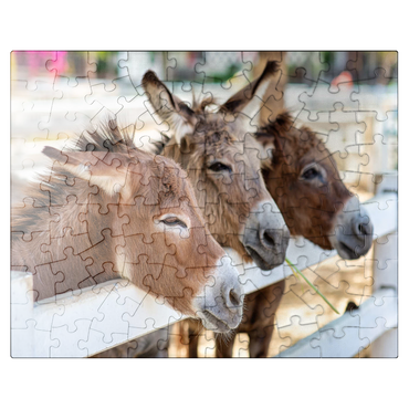 puzzleplate Three horses or donkeys on the farm. head of coupe brown horse or donkey in the stable. horse or donkey lover and third party. triangle concept for pets. love the concept of a third party. a sad concept. 100 Jigsaw Puzzle