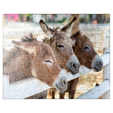 puzzleplate Three horses or donkeys on the farm. head of coupe brown horse or donkey in the stable. horse or donkey lover and third party. triangle concept for pets. love the concept of a third party. a sad concept. 100 Jigsaw Puzzle