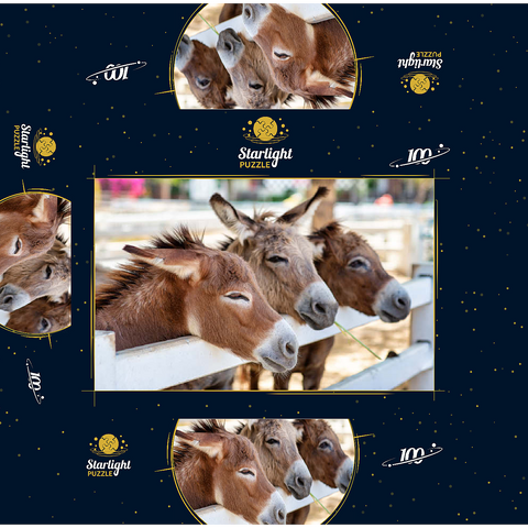 Three horses or donkeys on the farm. head of coupe brown horse or donkey in the stable. horse or donkey lover and third party. triangle concept for pets. love the concept of a third party. a sad concept. 100 Jigsaw Puzzle box 3D Modell