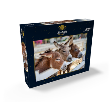 Three horses or donkeys on the farm. head of coupe brown horse or donkey in the stable. horse or donkey lover and third party. triangle concept for pets. love the concept of a third party. a sad concept. 500 Jigsaw Puzzle box view1