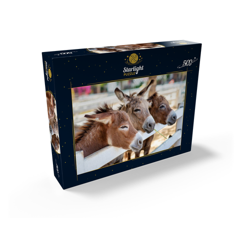 Three horses or donkeys on the farm. head of coupe brown horse or donkey in the stable. horse or donkey lover and third party. triangle concept for pets. love the concept of a third party. a sad concept. 500 Jigsaw Puzzle box view1