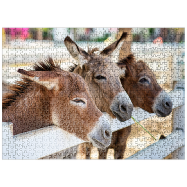 puzzleplate Three horses or donkeys on the farm. head of coupe brown horse or donkey in the stable. horse or donkey lover and third party. triangle concept for pets. love the concept of a third party. a sad concept. 500 Jigsaw Puzzle
