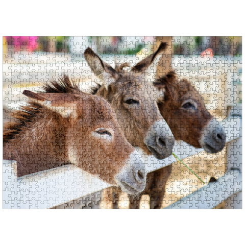 puzzleplate Three horses or donkeys on the farm. head of coupe brown horse or donkey in the stable. horse or donkey lover and third party. triangle concept for pets. love the concept of a third party. a sad concept. 500 Jigsaw Puzzle