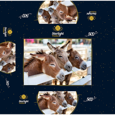 Three horses or donkeys on the farm. head of coupe brown horse or donkey in the stable. horse or donkey lover and third party. triangle concept for pets. love the concept of a third party. a sad concept. 500 Jigsaw Puzzle box 3D Modell