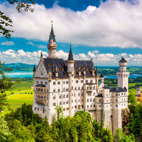 Neuschwanstein Castle on a summer day in Germany. 100 Jigsaw Puzzle 3D Modell
