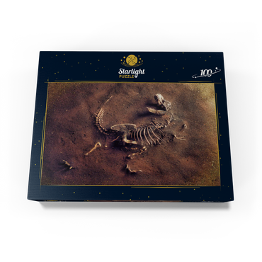 Dinosaurir fossil (Tyrannosaurus Rex) from archaeologists 100 Jigsaw Puzzle box view1