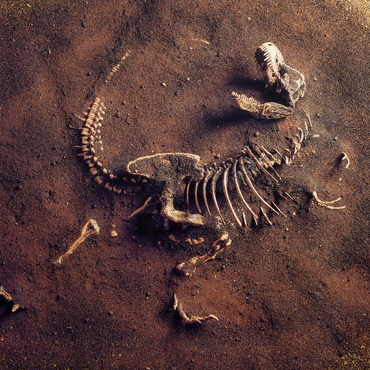 Dinosaurir fossil (Tyrannosaurus Rex) from archaeologists 500 Jigsaw Puzzle 3D Modell
