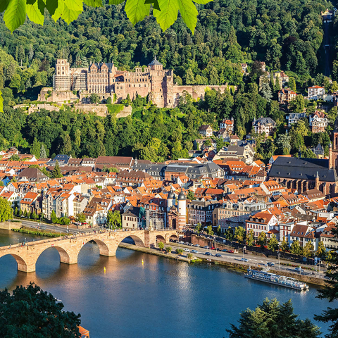 View of Heidelberg in summer, Germany 1000 Jigsaw Puzzle 3D Modell