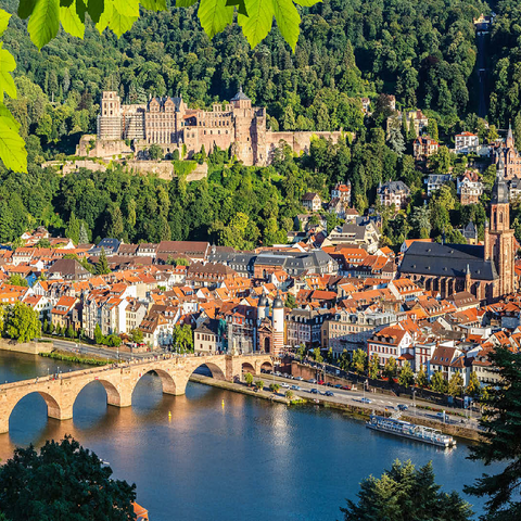 View of Heidelberg in summer, Germany 100 Jigsaw Puzzle 3D Modell