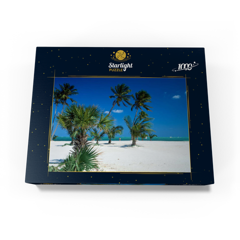 Beach at Key Biscayne, Miami, Florida, USA 1000 Jigsaw Puzzle box view1