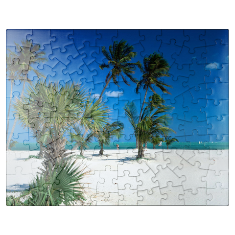 puzzleplate Beach at Key Biscayne, Miami, Florida, USA 100 Jigsaw Puzzle