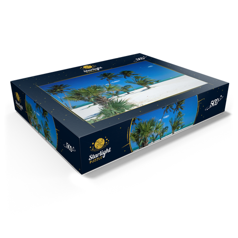 Beach at Key Biscayne, Miami, Florida, USA 500 Jigsaw Puzzle box view1