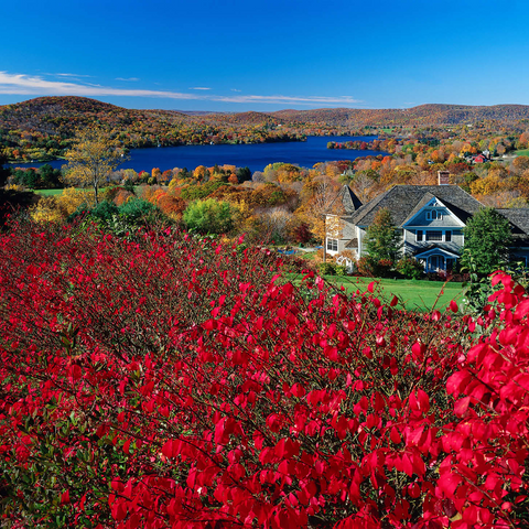 Autumn atmosphere at Lake Waramaug, Connecticut, USA 1000 Jigsaw Puzzle 3D Modell
